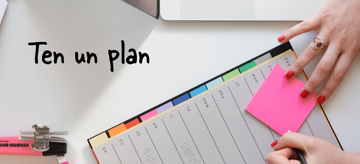 Organiza tus ideas
